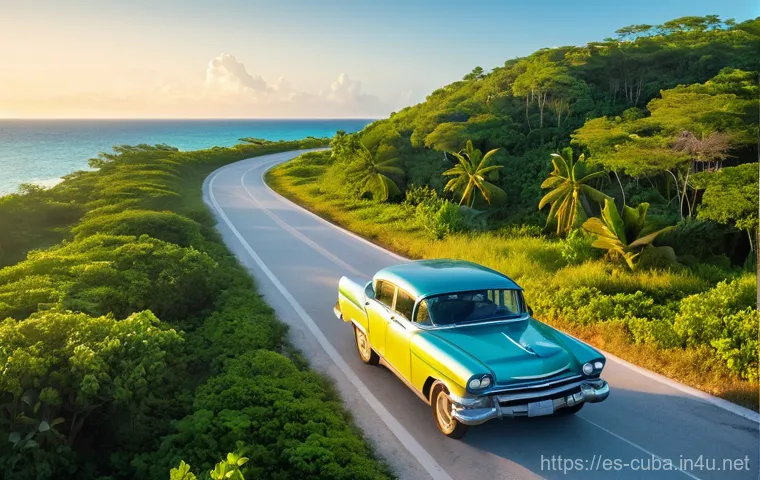 쿠바에서 자동차 렌트 가능한가 - **Prompt 1: Freedom on the Coastal Road**
    "A vibrant, sunny image of a modern, clean rental car ...